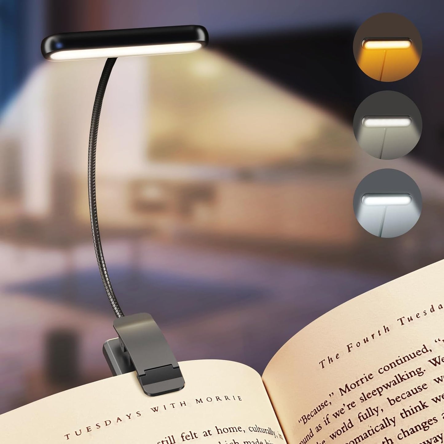 LED Reading Light